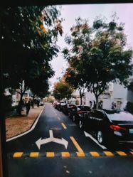 -蚂蚁婚车