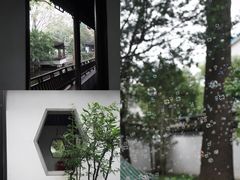 -秋霞圃