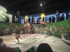 -国家自然博物馆