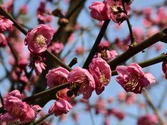 -重庆彩云湖湿地公园