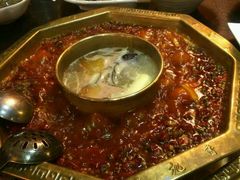 -蜀九香火锅(彩虹店)
