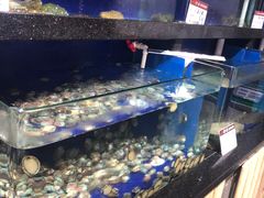 水产区-船歌鱼水饺(高新园区店)