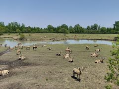 -溱湖国家湿地公园