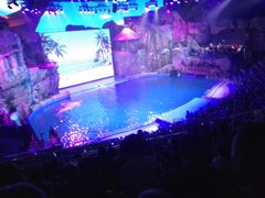 -芜湖新华联大白鲸海洋公园