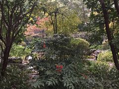 -新湖明珠城