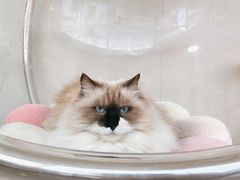 -灯塔咖啡馆BOOK·Coffee Shop
