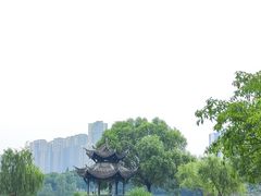 -眉山湿地公园(东坡区)