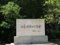 -白水寺森林公园