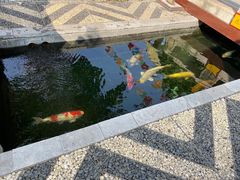 -西安市广仁寺