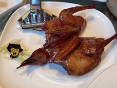 乳鸽-金苑海鲜酒家(来魅力店)