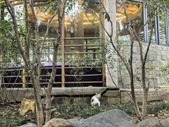 -张家港金凤凰度假村温泉