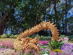 -广州市白云山风景名胜区