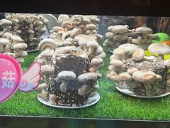 菌菇-捞王锅物料理(金城路店)