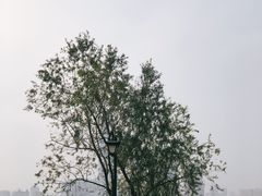 -武昌江滩