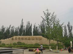 -永定河休闲森林公园