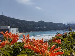-东澳岛