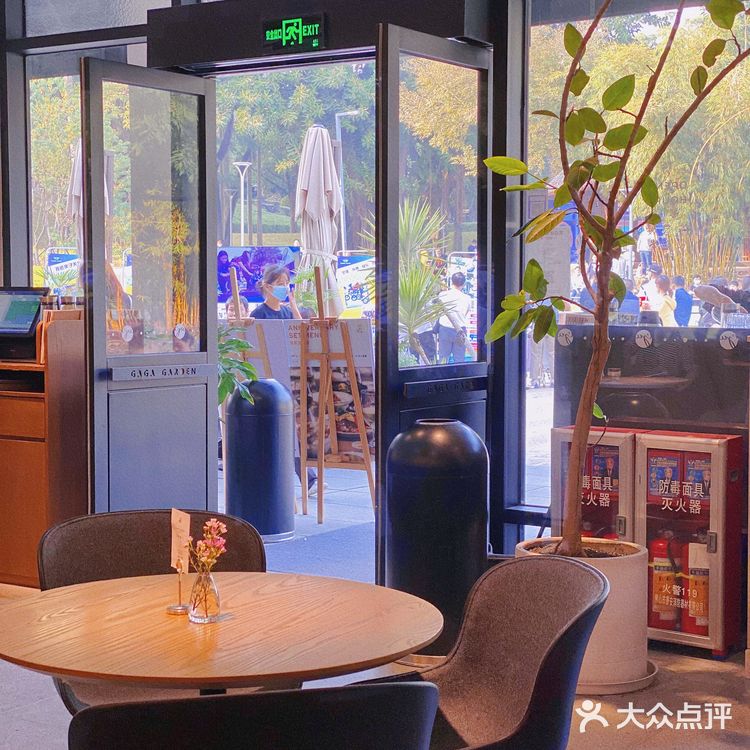 深圳秘密花园💐 gaga GARDEN享受忙里偷闲的治愈一刻