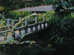 -广州兰圃