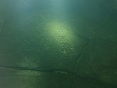 -白鹤梁水下博物馆