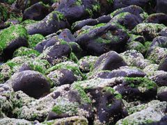 -龙头岩(Dragon Head Rock)