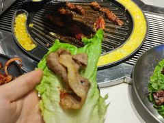 -山野的朋友露营炭火烤肉