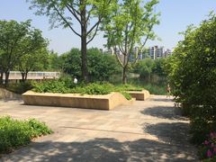 -新江湾城公园