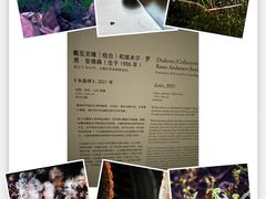-上海当代艺术博物馆