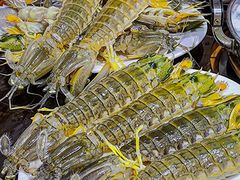 -凯华海鲜火锅·传承三十六年