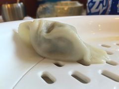 -北方饺子王·海肠捞饭·海鲜锅(山大店)