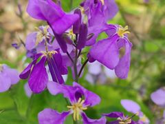 -OCT华侨城·北京