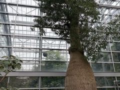 -南山植物园