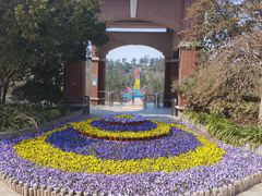 -南京银杏湖乐园