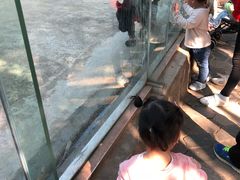 -南昌动物园