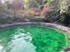 -杭州第一世界大酒店·云曼温泉