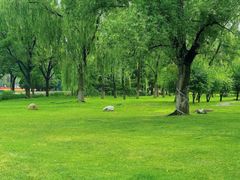 -森林公园(尖草坪区)