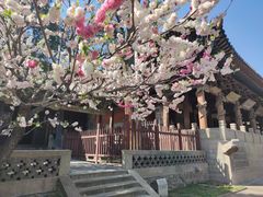 -晋祠公园