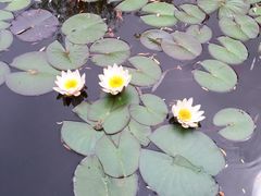 颐和安缦酒店Aman&nbsp;at&nbsp;Summer&nbsp;Palace-北京颐和宾馆