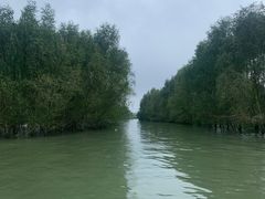 -东寨港红树林旅游区