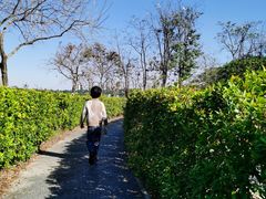 -东莞植物园