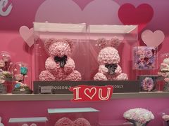 -ROSEONLY诺誓(国际广场购物中心店)