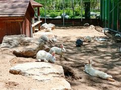 -羊亭河湿地公园