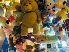 -上海浦东康桥绿地假日酒店