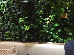 大堂-Peet's 皮爷咖啡(东湖路手作店)