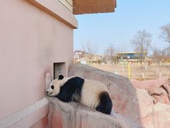 -盐城大丰港动物园