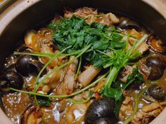 -食爺炭炉鸡煲·烧烤