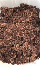 -茉莉花国际酒店·宴会厅