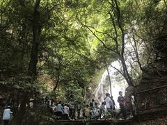 -大余丫山旅游度假区