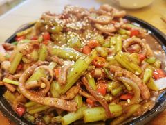 铁板鱿鱼-华顺土菜馆(洪岗路店)