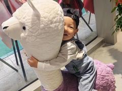 -中粮·祥云小镇