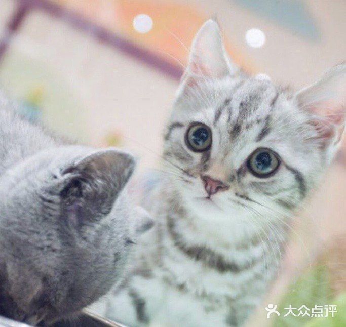 六一亲子游，与萌宠来一场约会～